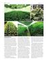 Page: - 100 | High Times