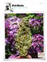 Page: - 144 | High Times