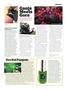 Page: - 33 | High Times