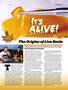 Page: - 47 | High Times