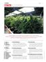Page: - 6 | High Times