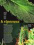 Page: - 75 | High Times