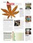 Page: - 8 | High Times