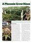 Page: - 99 | High Times