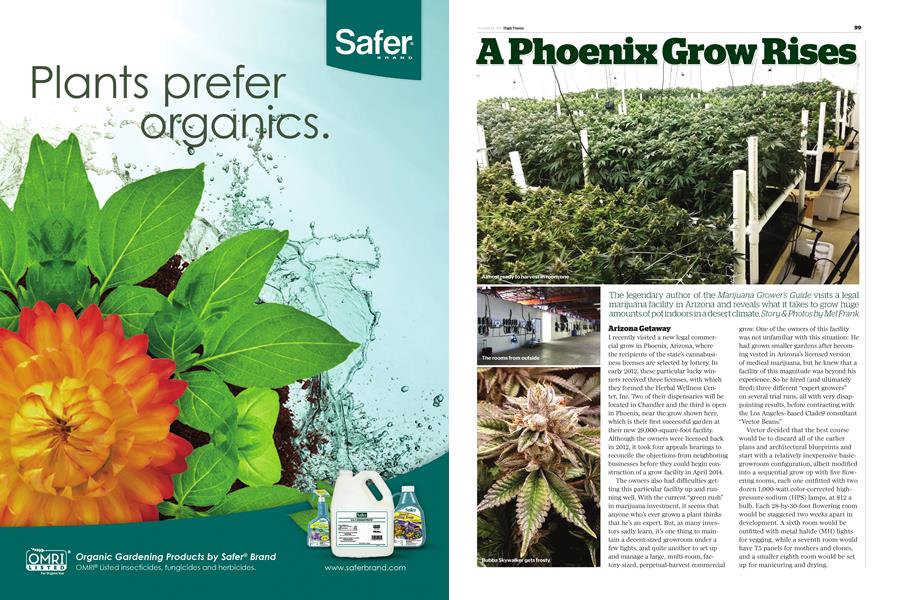 A Phoenix Grow Rises