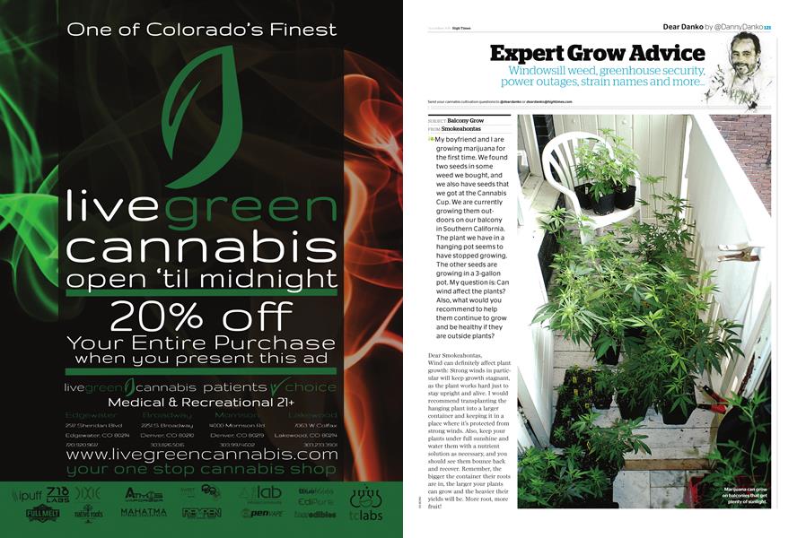Expert Grow Advice
