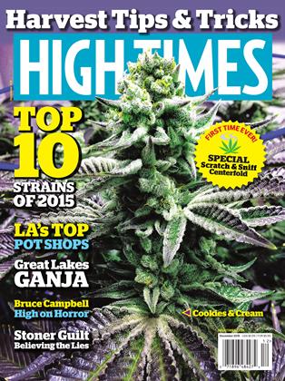 strains times issue