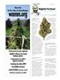 Page: - 128 | High Times