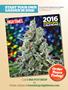 Page: - 145 | High Times