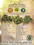 Page: - 159 | High Times