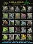 Page: - 3 | High Times