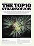 Page: - 75 | High Times