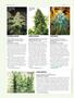 Page: - 78 | High Times