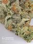 Page: - 86 | High Times