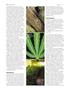 Page: - 98 | High Times
