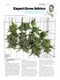 Page: - 119 | High Times