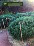 Page: - 14 | High Times