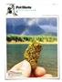 Page: - 144 | High Times