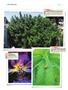 Page: - 146 | High Times