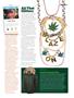 Page: - 33 | High Times