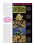 Page: - 50 | High Times