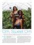 Page: - 63 | High Times