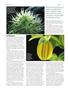 Page: - 76 | High Times