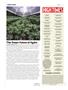 Page: - 10 | High Times