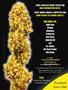 Page: - 111 | High Times