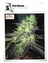Page: - 144 | High Times
