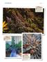 Page: - 146 | High Times