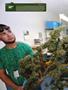 Page: - 16 | High Times