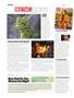 Page: - 8 | High Times