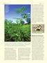 Page: - 90 | High Times