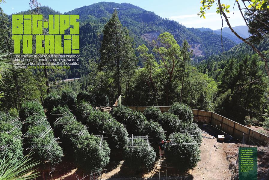 BIG-UPS TO CALI!