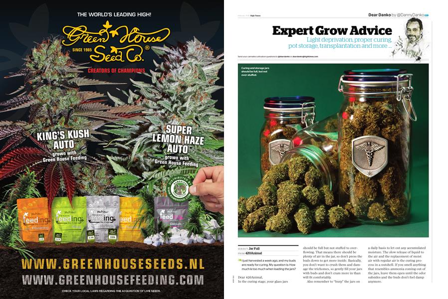Expert Grow Advice