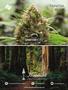 Page: - 105 | High Times