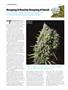 Page: - 116 | High Times