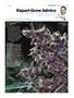 Page: - 119 | High Times