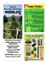 Page: - 141 | High Times