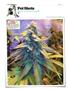 Page: - 144 | High Times