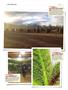 Page: - 146 | High Times