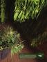 Page: - 15 | High Times
