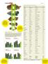 Page: - 40 | High Times