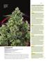 Page: - 48 | High Times