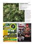 Page: - 58 | High Times