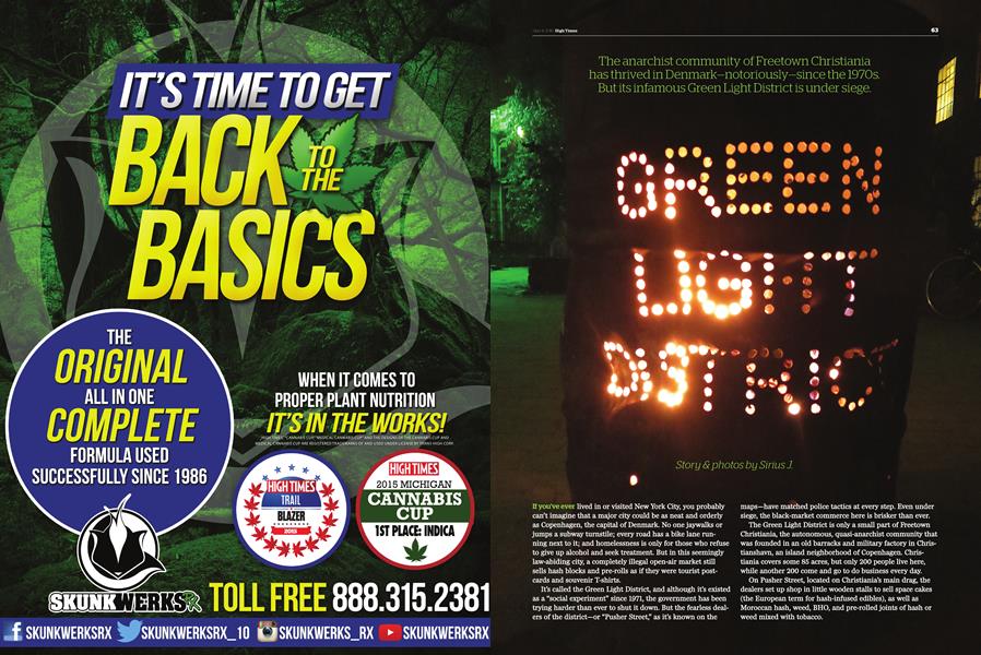 GREEN LIGHT DISTRIC