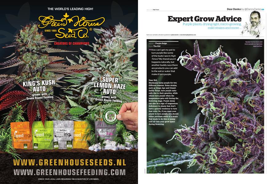 Expert Grow Advice