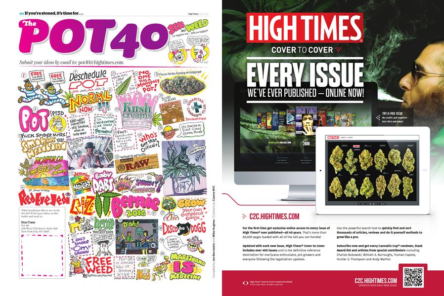 The POT 40