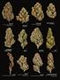Page: - 18 | High Times